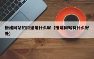 聊城搭建网站的用途是什么呢（搭建网站有什么好处）